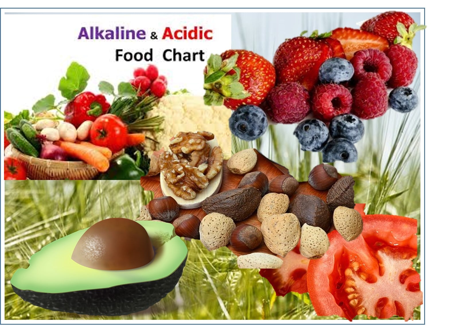 Nutrition Alkaline 2