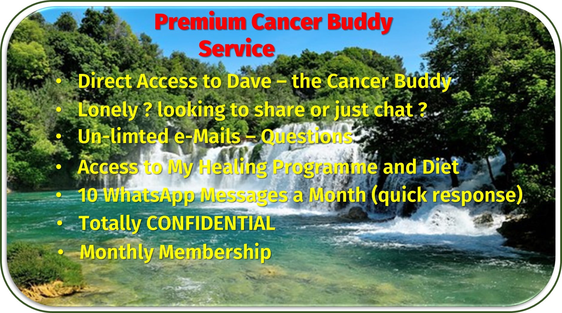 Premium Cancerbuddy Service