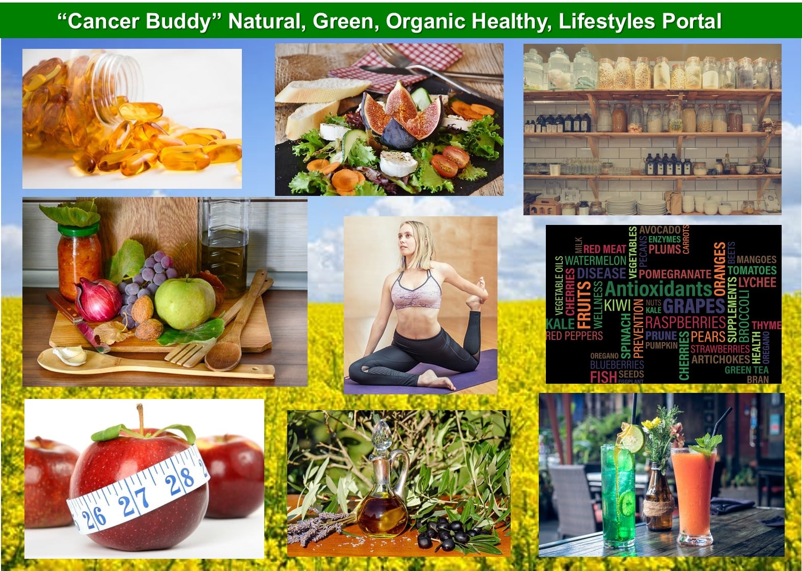 Green Organic healthy lifestyles Portal